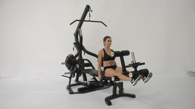 Powertec Workbench Leg Lift and Curl Attachment (WB-LLA23)