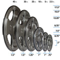 Body-Solid OPT5 Gray Cast Grip Plate 5lb