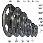 OST Gray Grip Cast Iron Olympic Weight Sets - photo 2