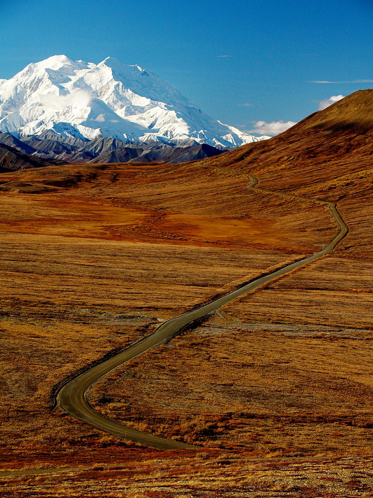 Denali rising above the tundra, Alaska