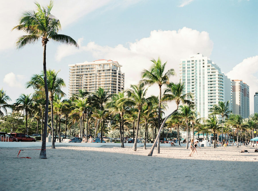 Palm trees and buildings in Miami, Florida