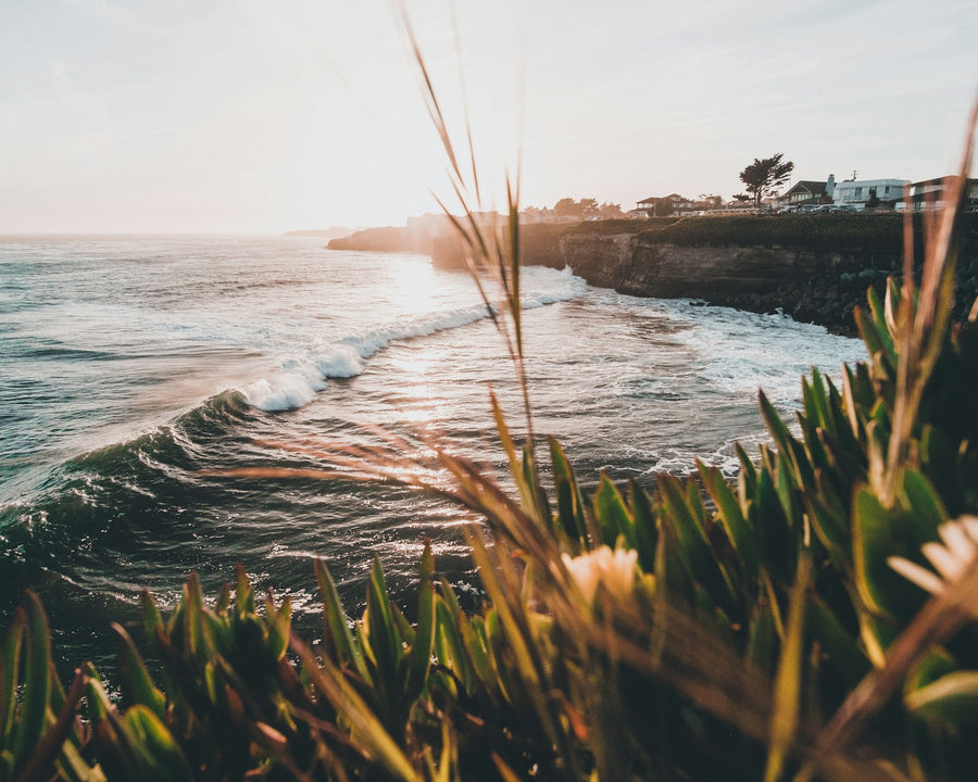 Ocean waves along the cliffs of Santa Cruz, California