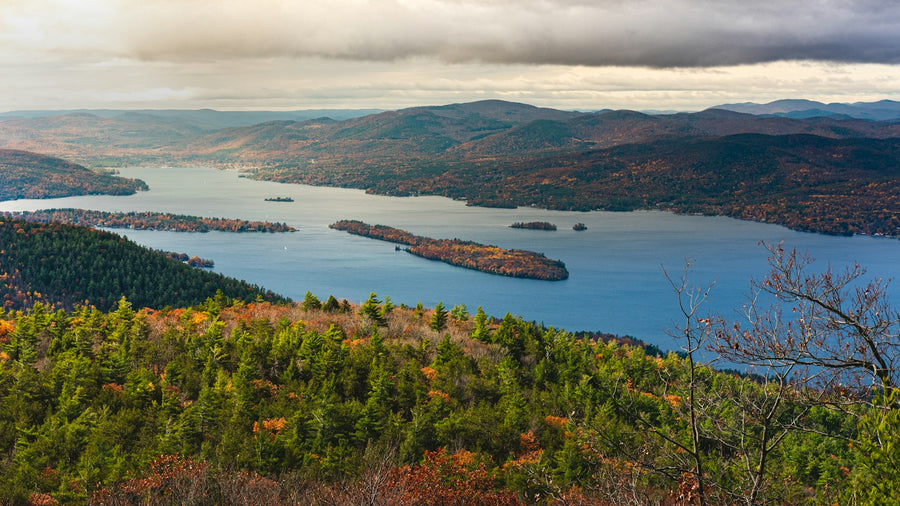 Trees along the river, Hudson Valley, New York